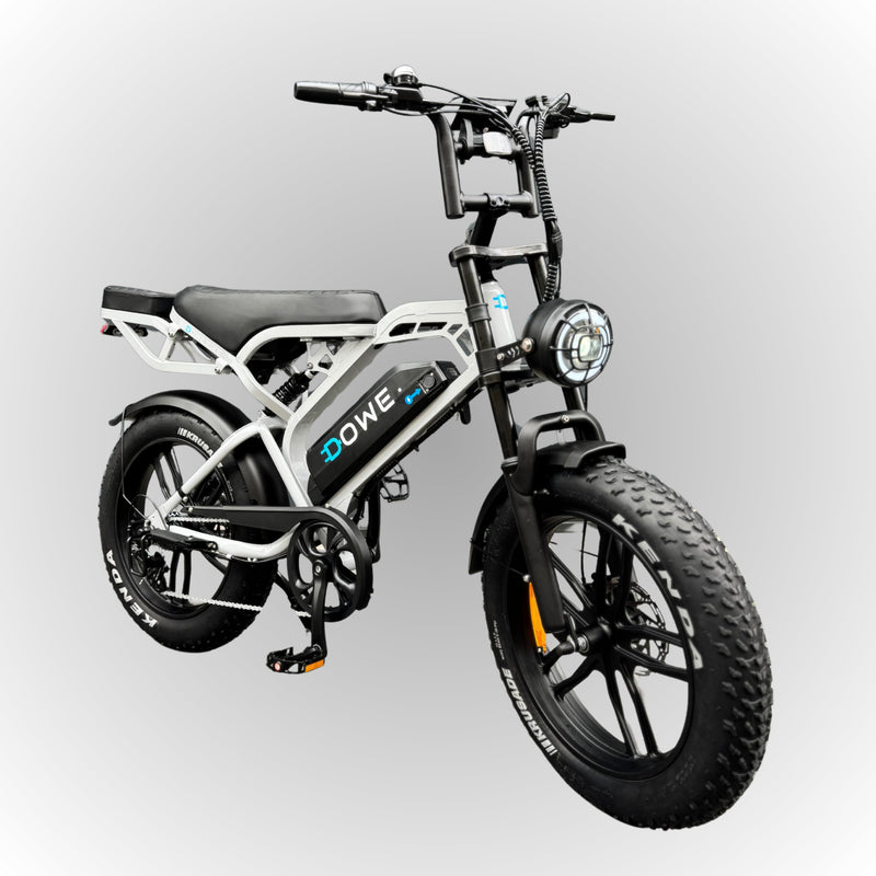 Elektrische fatbike kopen met 1 jaar garantie