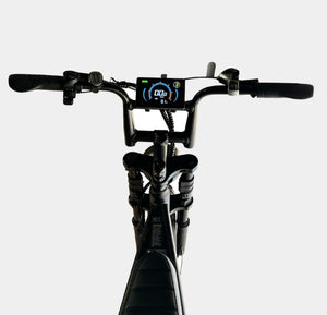 Dowe V8 Max Elektrische Fatbike met Dubbele Accu - Zwart 