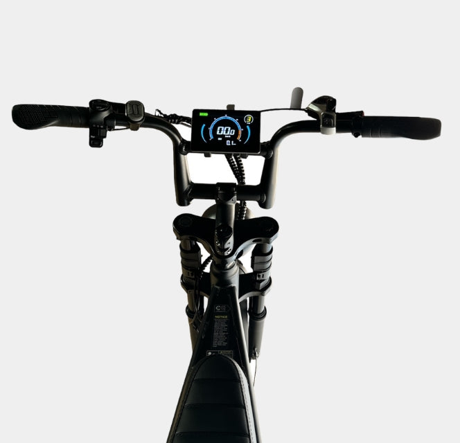 Dowe V8 Max Elektrische Fatbike met Dubbele Accu - Zwart 
