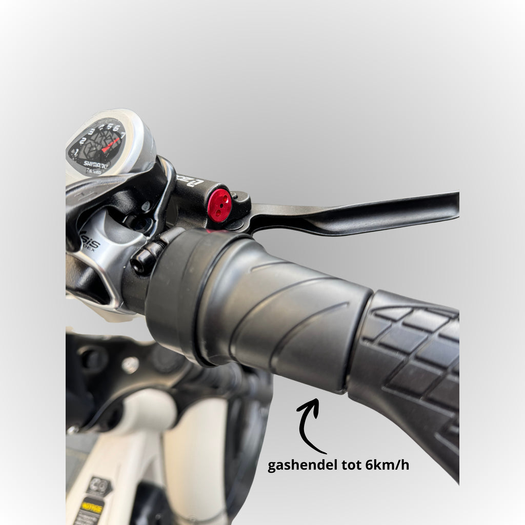 Elektrische Fatbike - Zand met Zwart Zadel 