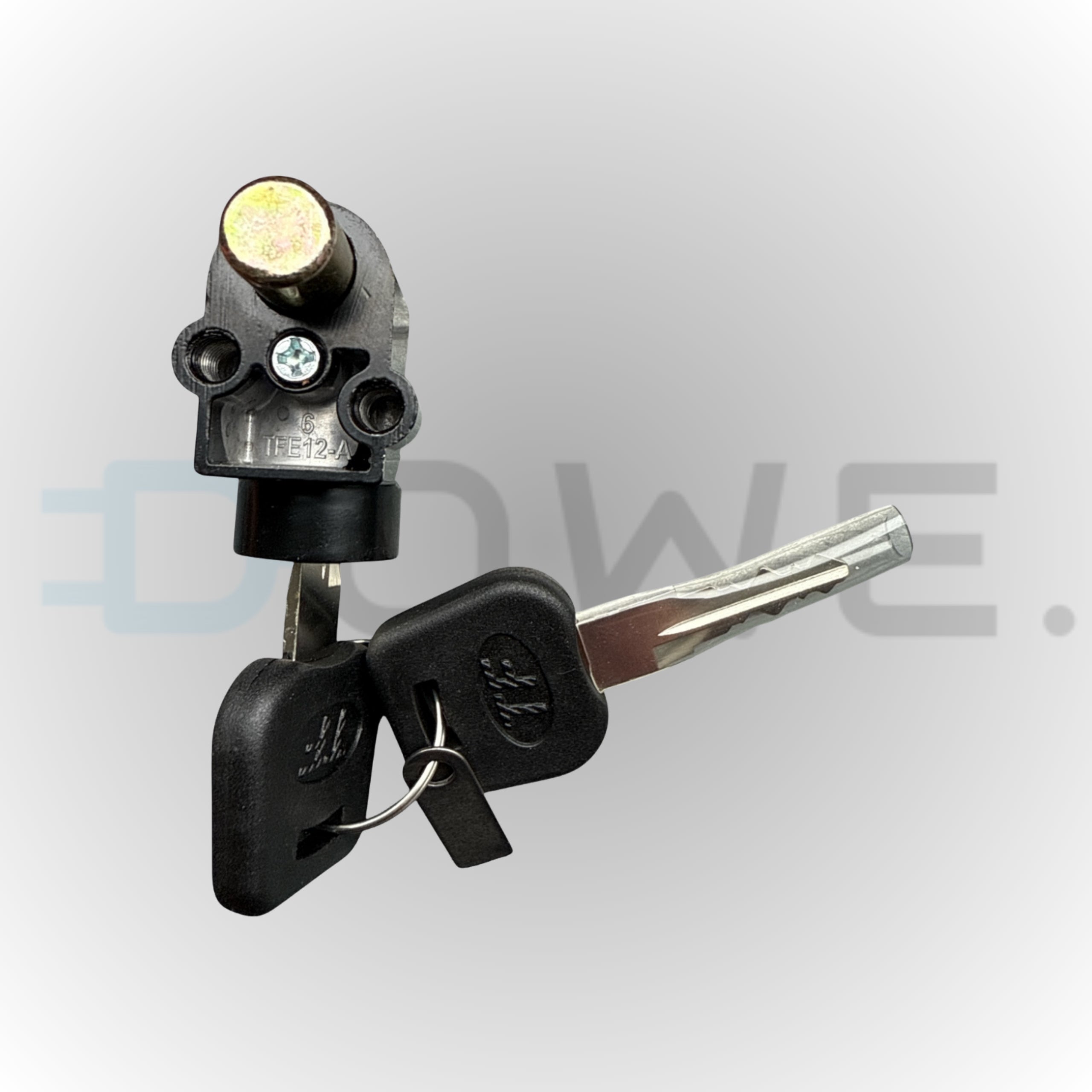 Fatbike Origineel Accu Slot – Inclusief 2 Sleutels – Beveiliging voor Elektrische Fatbike Accu