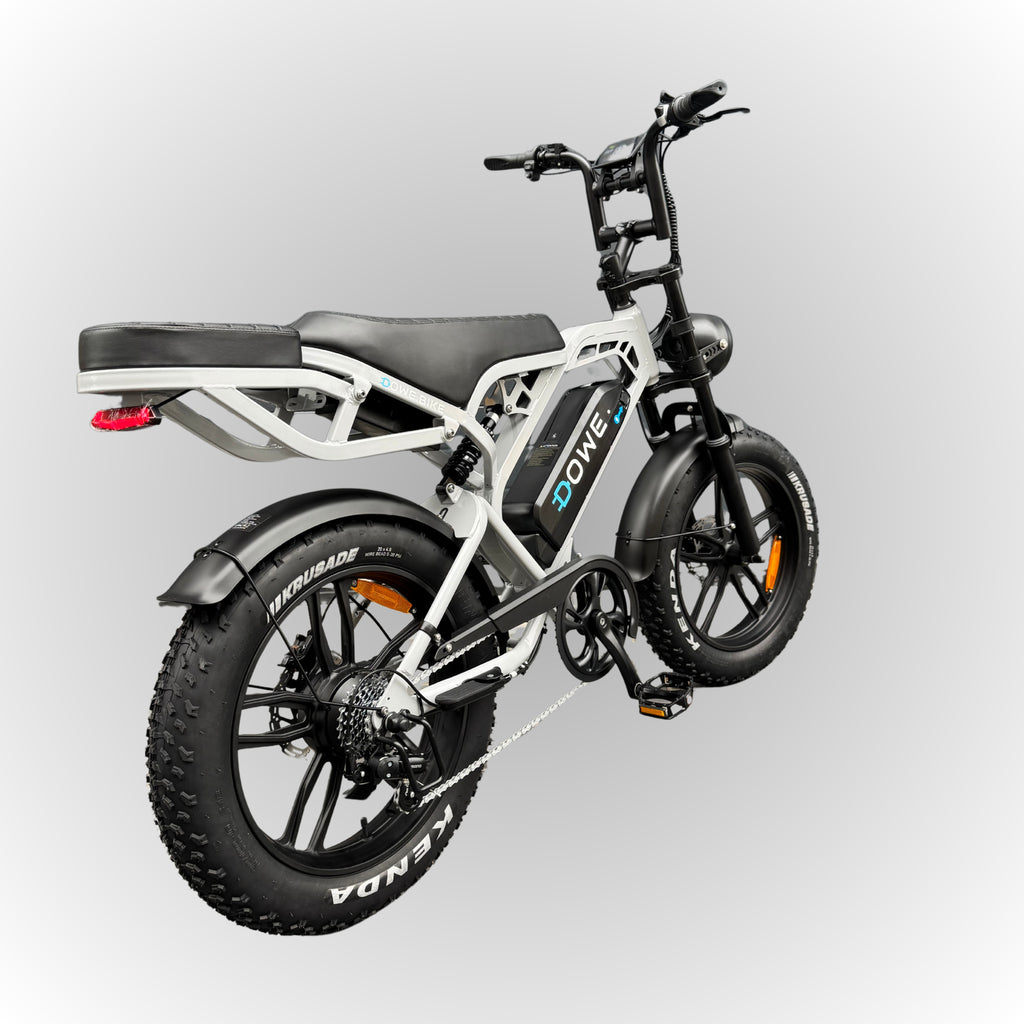 Dowe V20 Pro Fatbike, elektrische fatbike kopen, fatbike onderdelen, Haarlem, fatbike Amsterdam