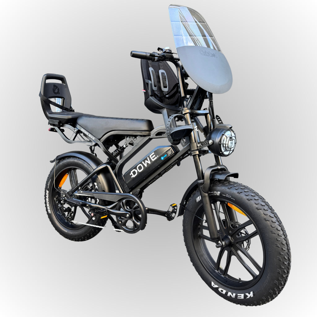 Fatbike V20 Pro met Kinderzitjes - Zwart Family Fatbike - 250W, 25 km/h - ‼️ DIRECT LEVERBAAR ‼️