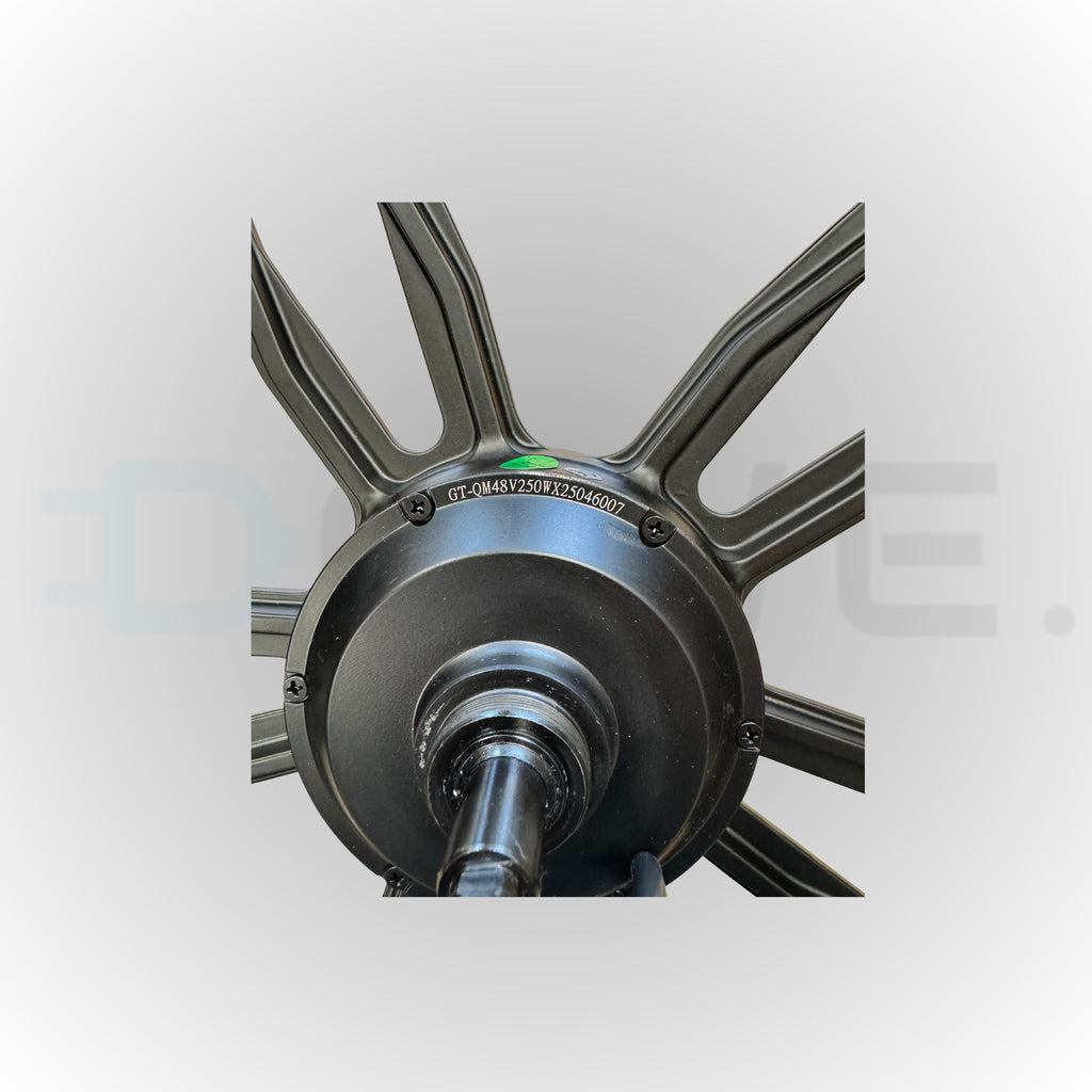 V20 Pro Achtervelg met Motor 20x4.0 Inch – 250W Fatbike Achterwiel – Zwarte Plug  