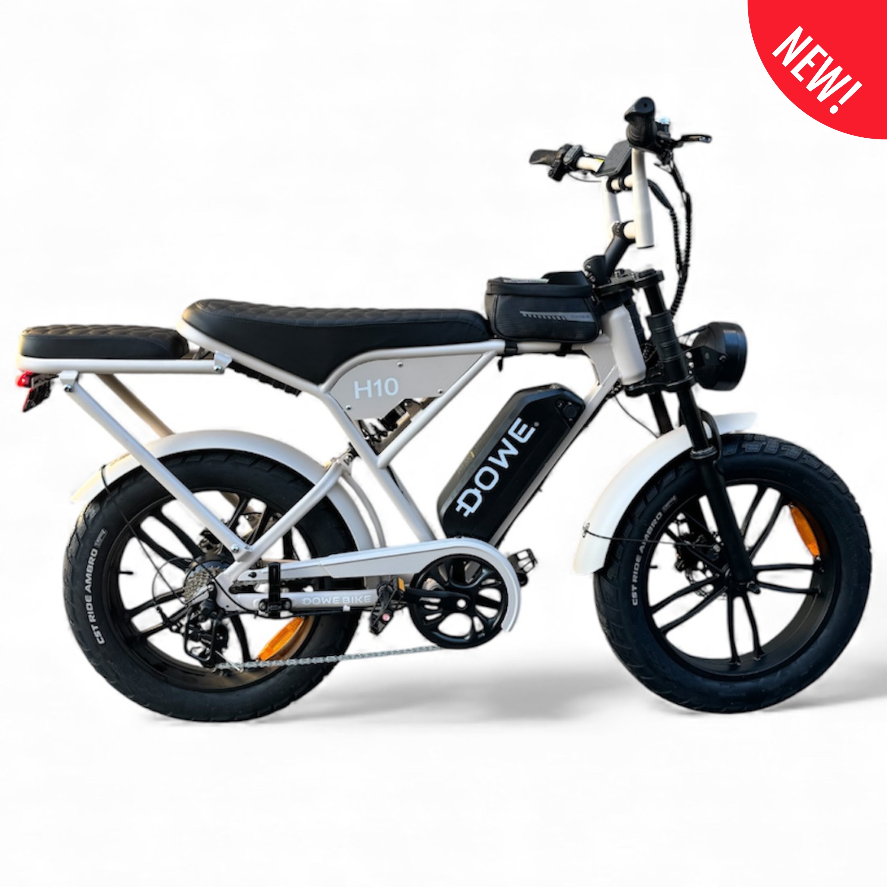 Elektrische Fatbike Zand - H10